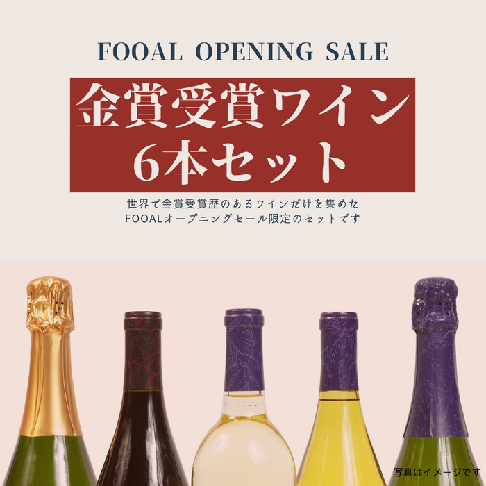 【FOOAL OPENING SALE】【送料無料】金賞受賞ワイン 6本セット